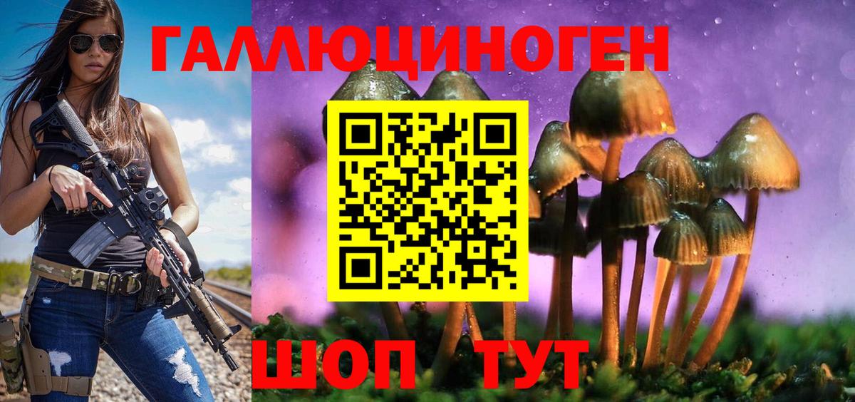 Кисловодск  купить наркоту  Вход с VPN  Галлюциногенные грибы Psilocybine cubensis 